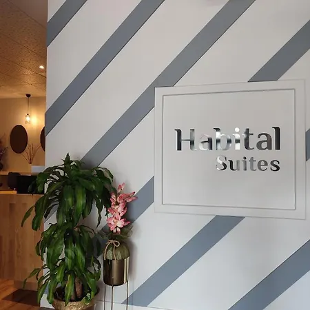 Habital Guest house Jaca